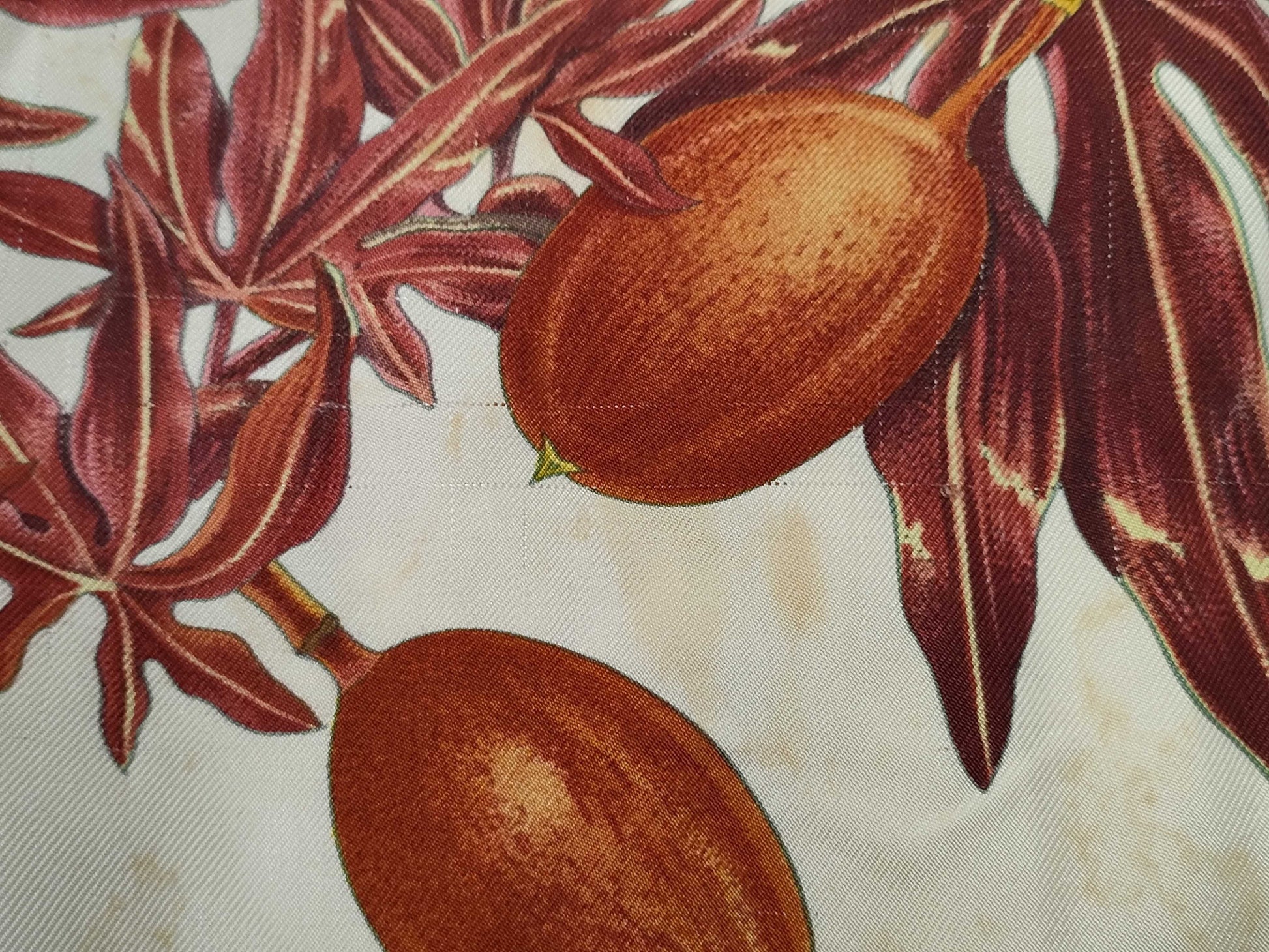 HERMES PASSIFLORES Passion Flower Shirt, Size 40