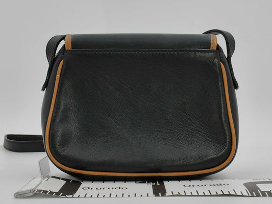 CELINE Triomphe Shoulder Bag in Black Leather
