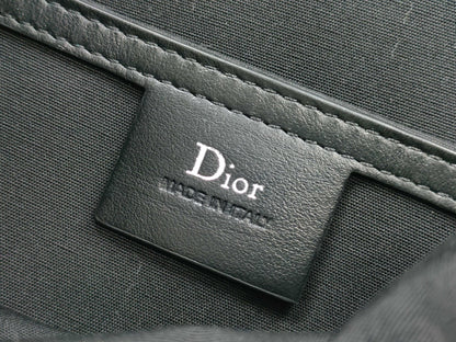 Dior Backpack in Black Calfskin with Silver Hardware