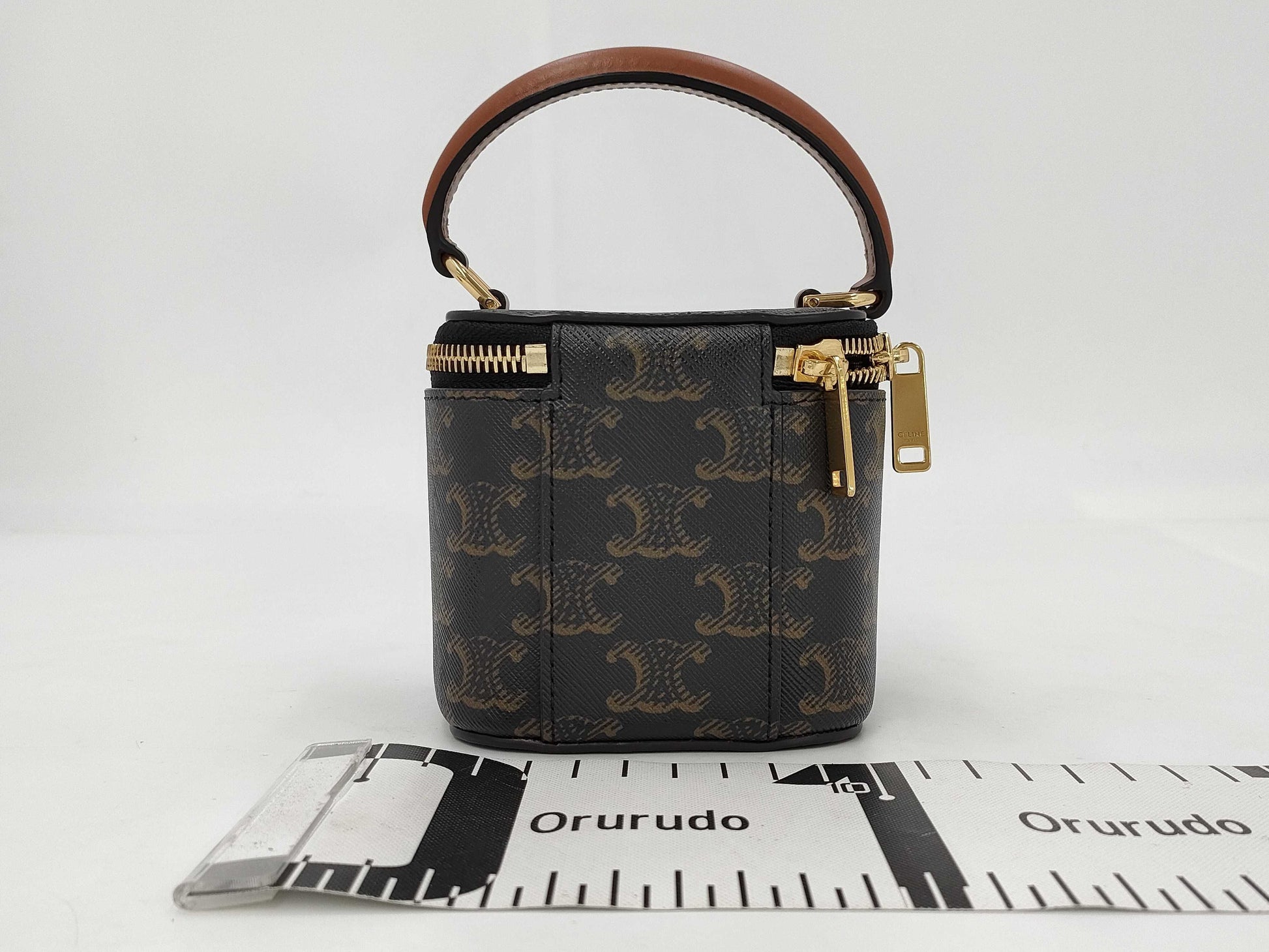 CELINE Triomphe Mini Vanity Bag with Strap