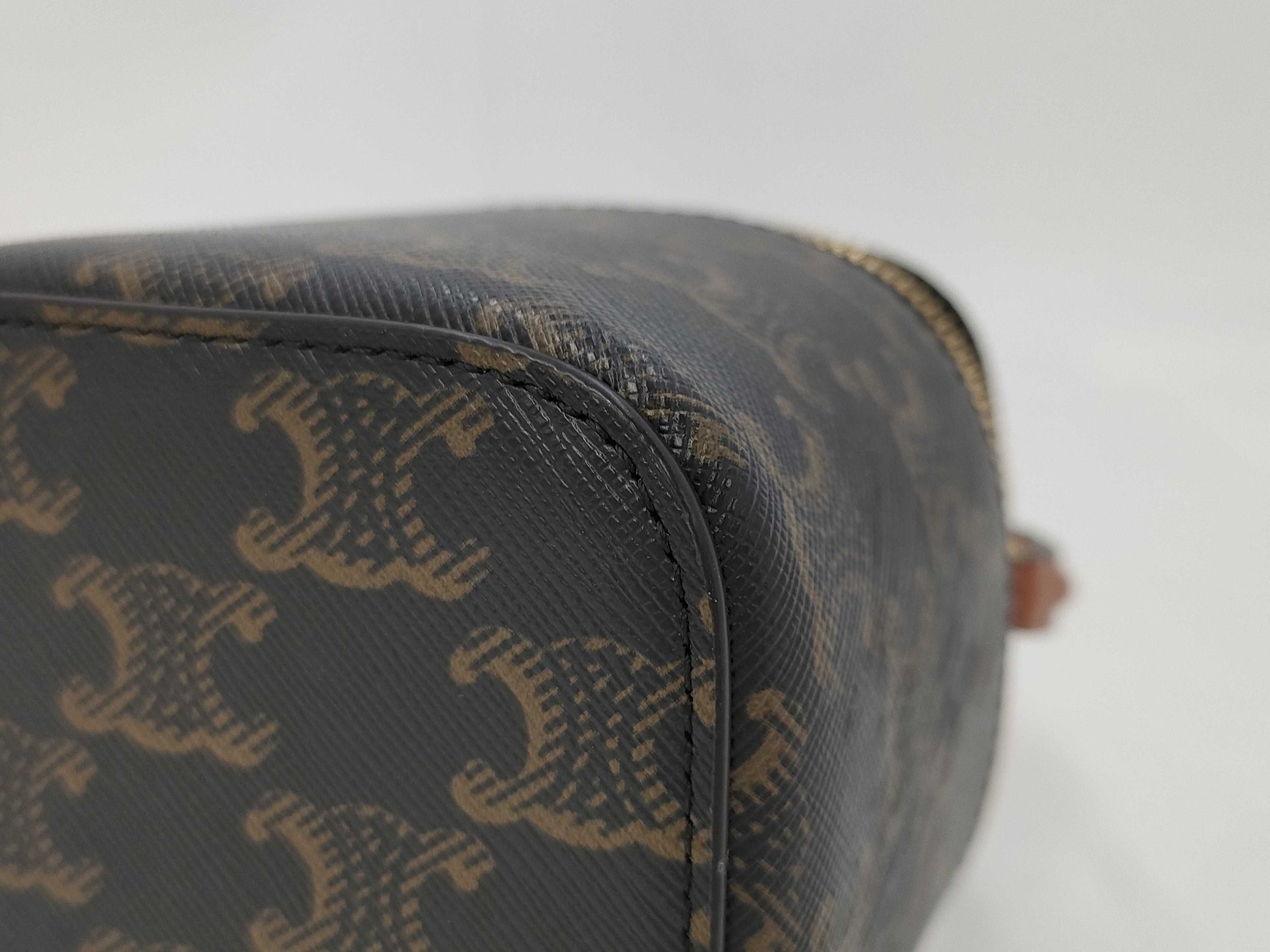 CELINE Triomphe Mini Vanity Bag with Strap