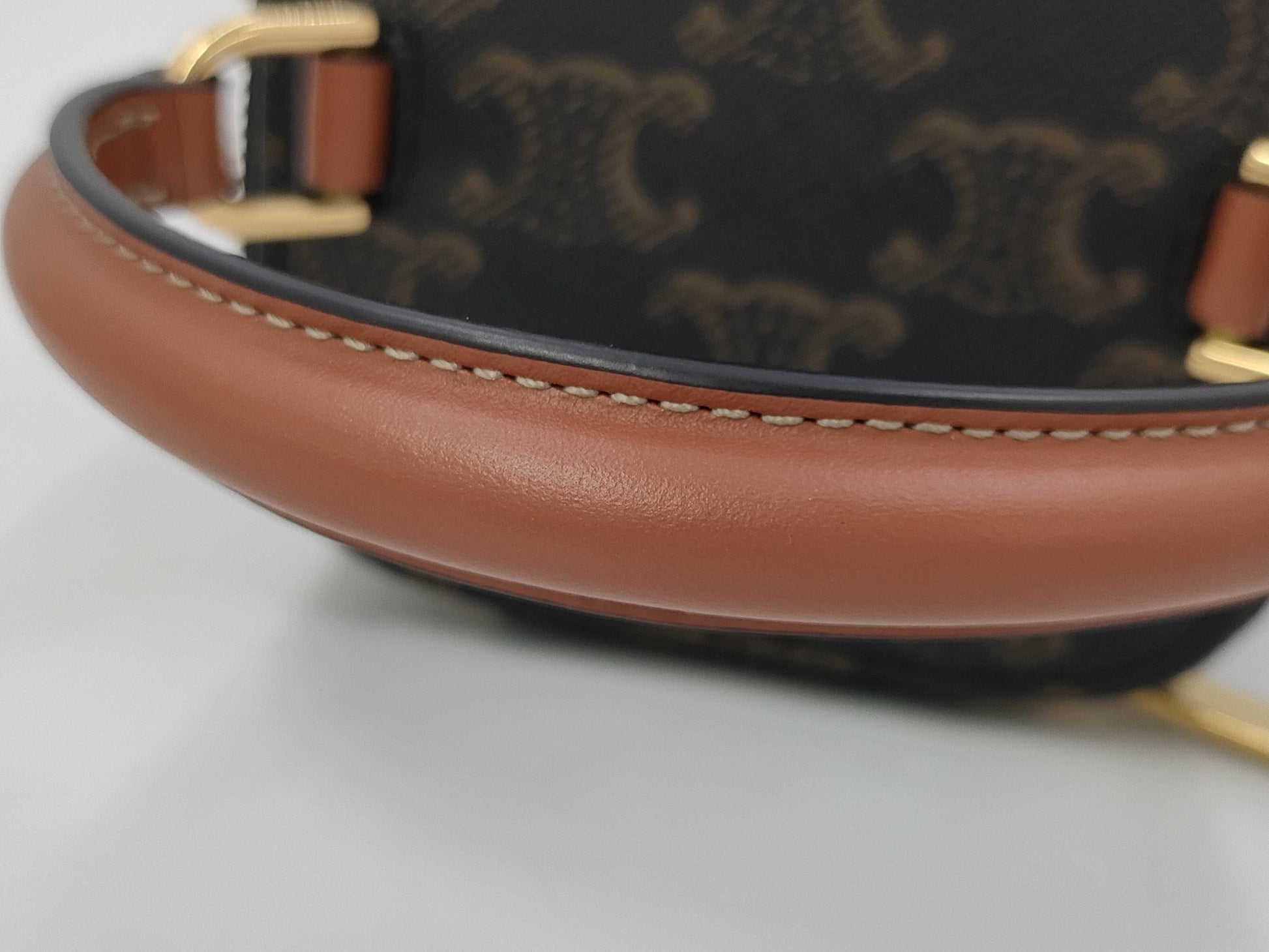 CELINE Triomphe Mini Vanity Bag with Strap
