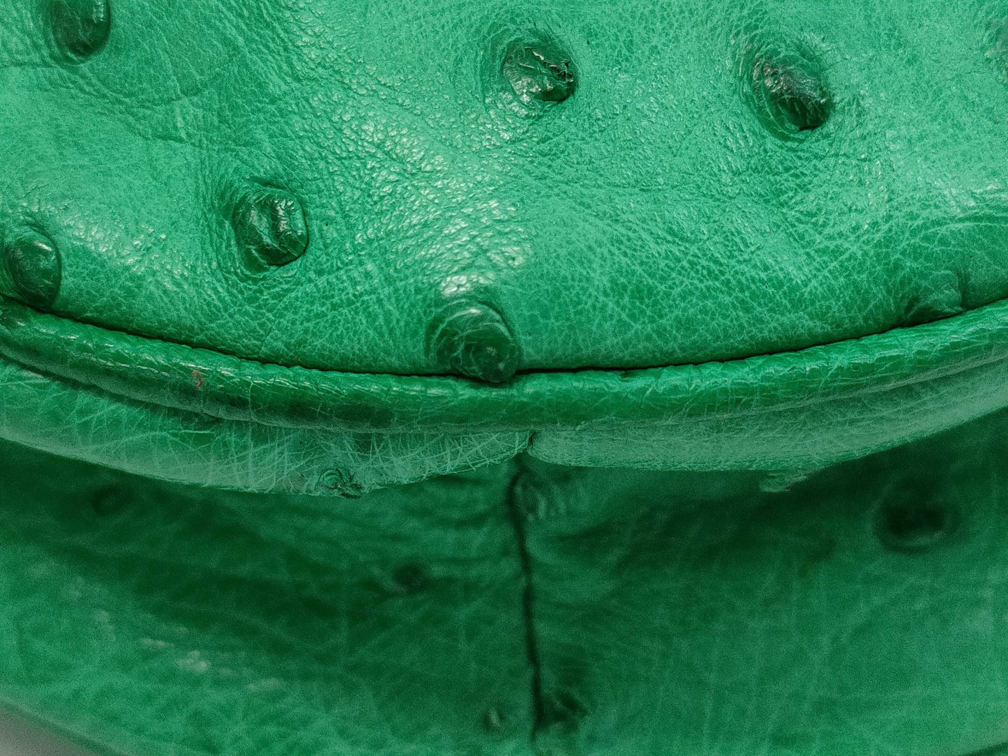CELINE Ostrich Star Ball Handbag Green