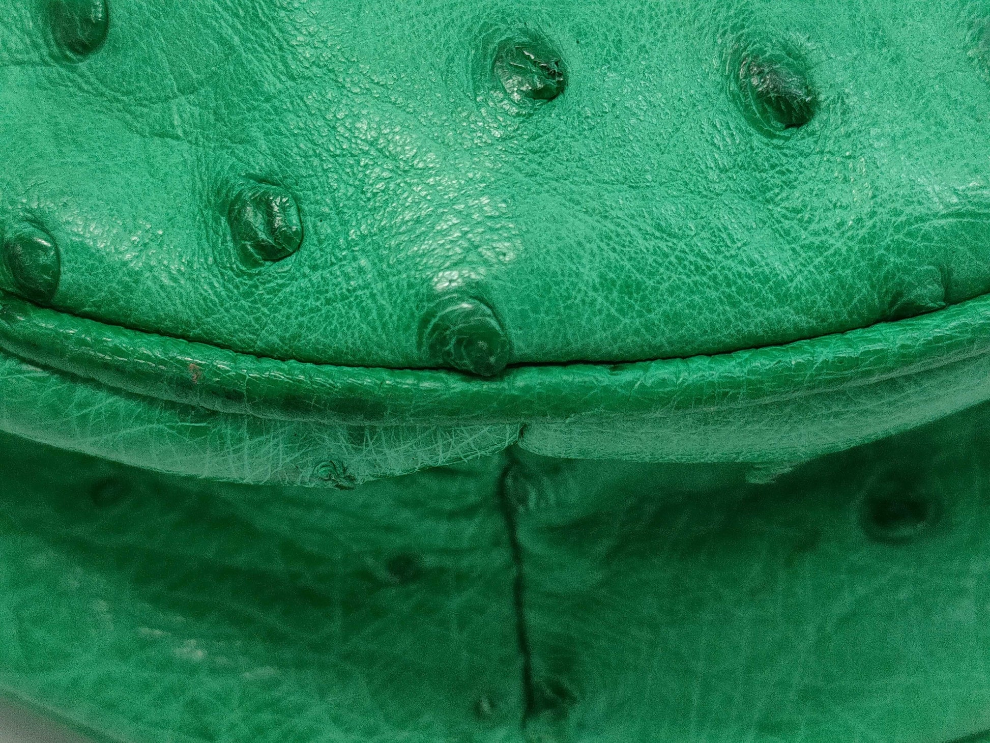 CELINE Ostrich Star Ball Handbag Green