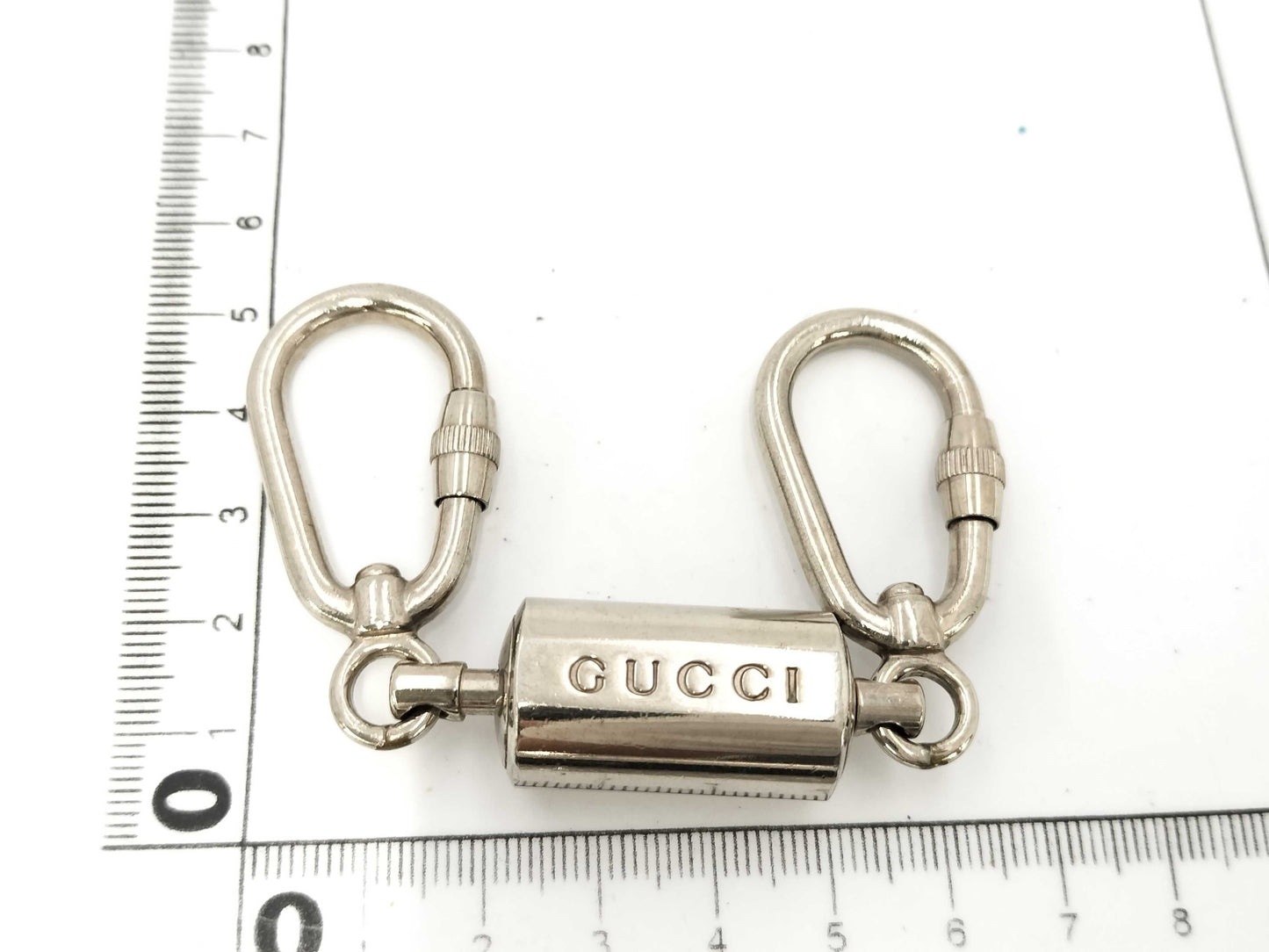 GUCCI GUCCI Carabiner Keychain Key Case/Keychain