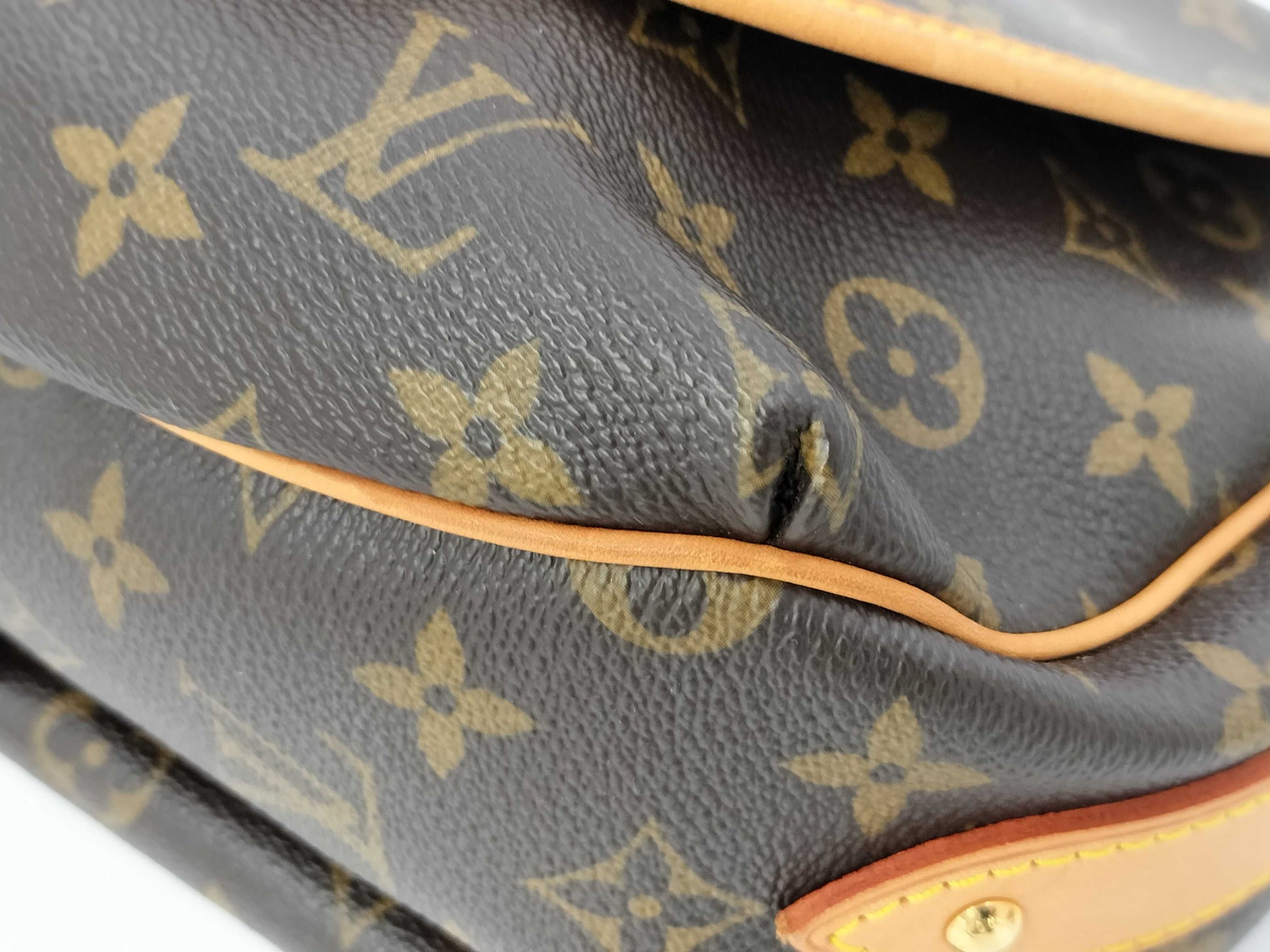 LOUIS VUITTON LV Monogram Shoulder Bag