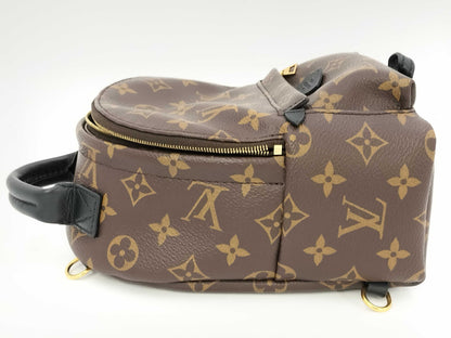 LOUIS VUITTON LV Bag pm Backpack