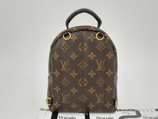 LOUIS VUITTON LV Bag pm Backpack