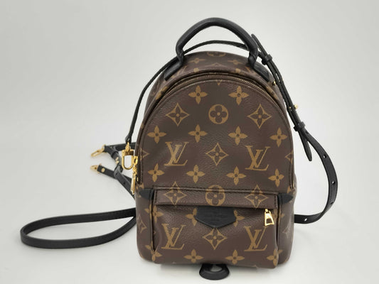 LOUIS VUITTON LV Bag pm Backpack