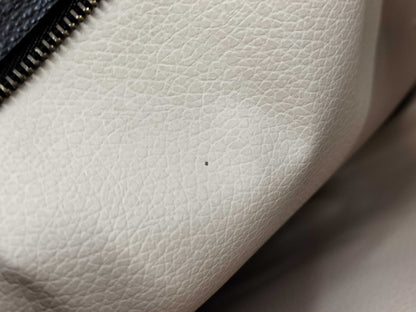 LOUIS VUITTON LV bag pouch