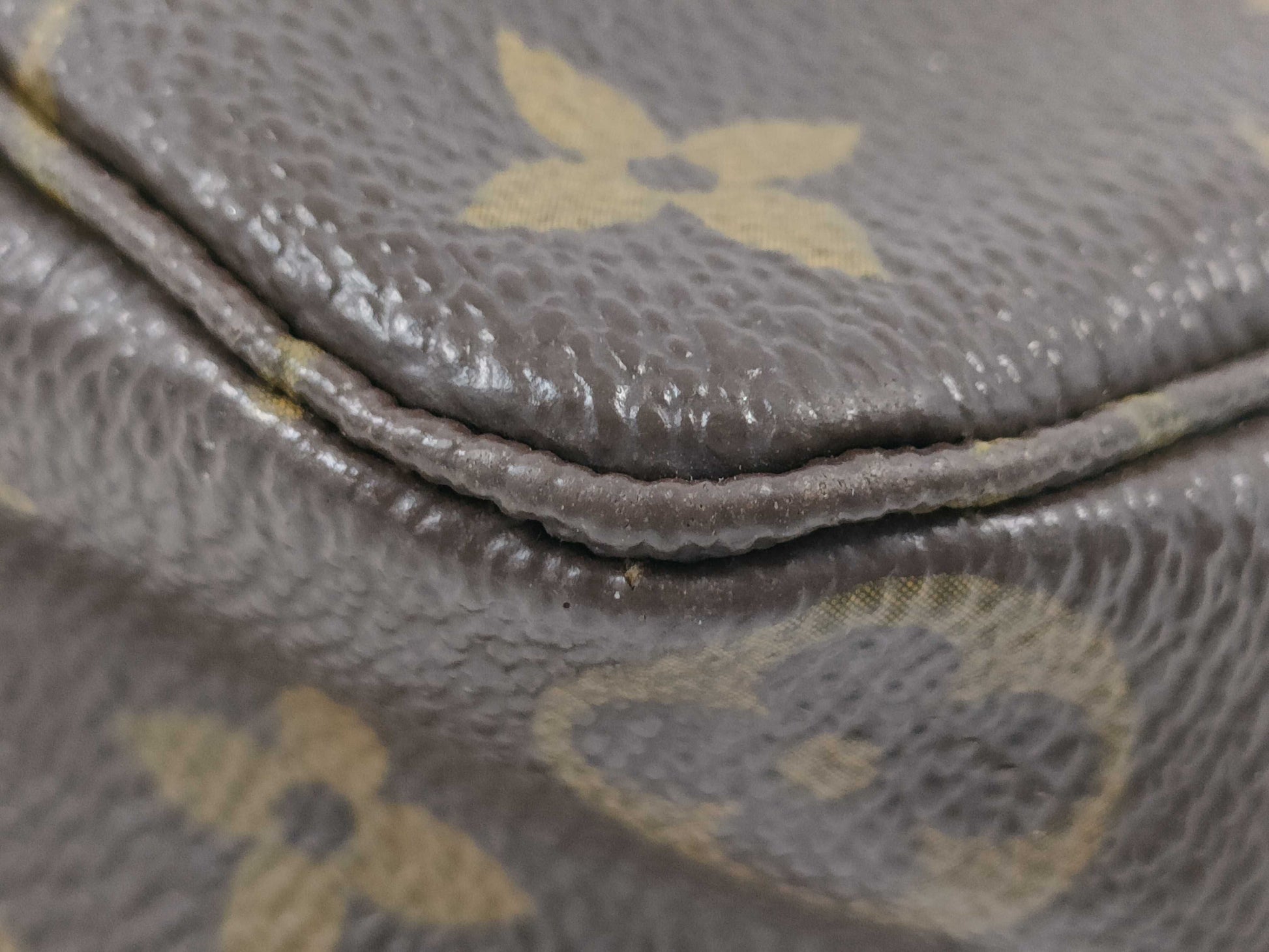 LOUIS VUITTON True Toilet 23 Pouch