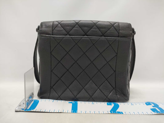 CHANEL Caviar Skin One-Shoulder Handbag 6340184 Seal
