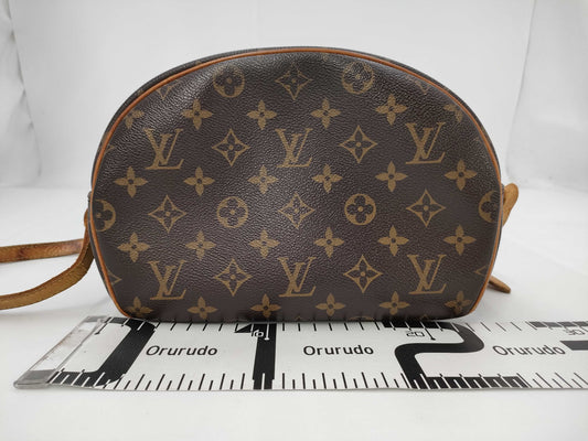 LOUIS VUITTON LOUIS VUITTON Monogram Blois Shoulder Bag Bag