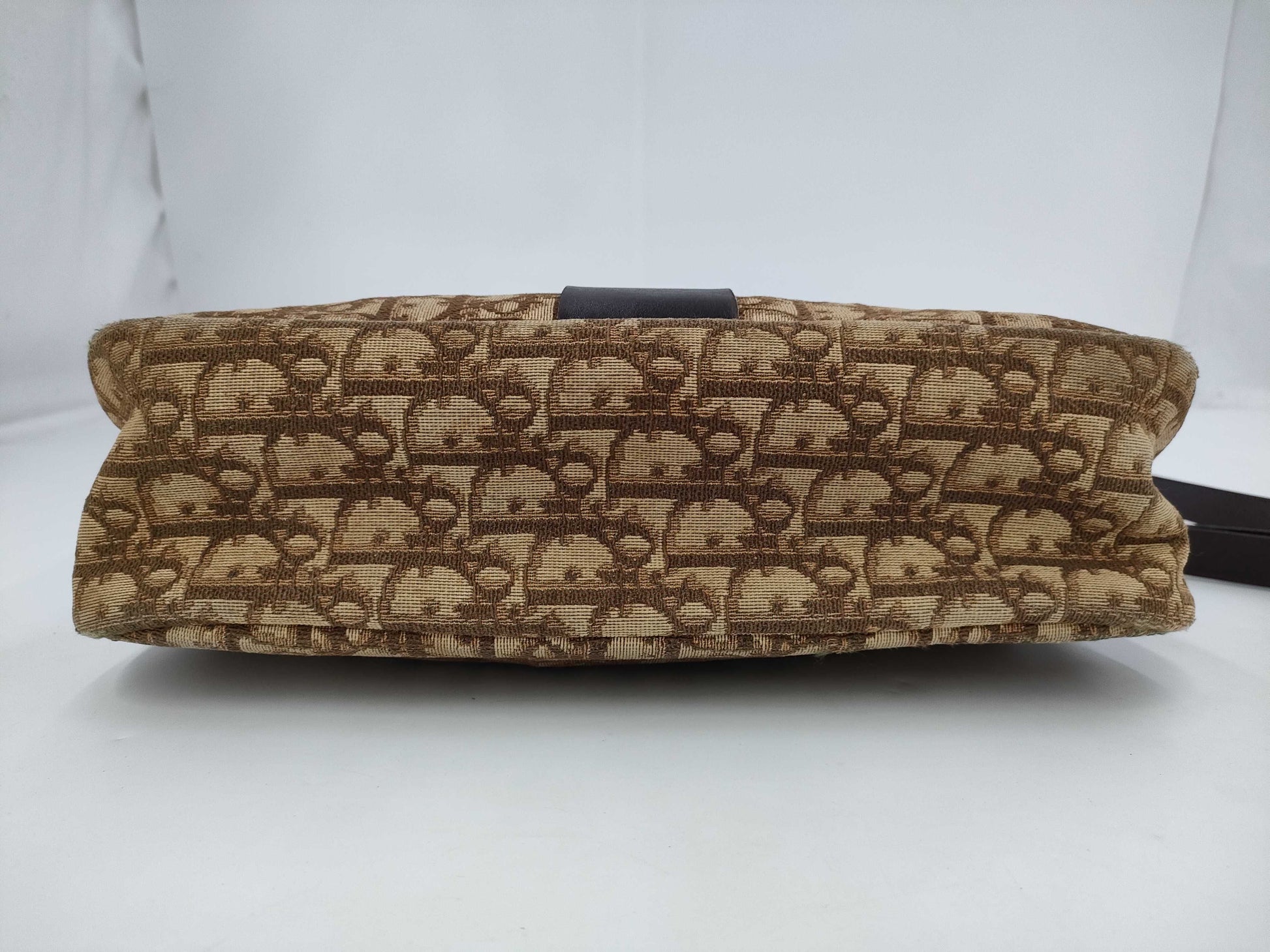 Dior Trotter Canvas Shoulder Bag