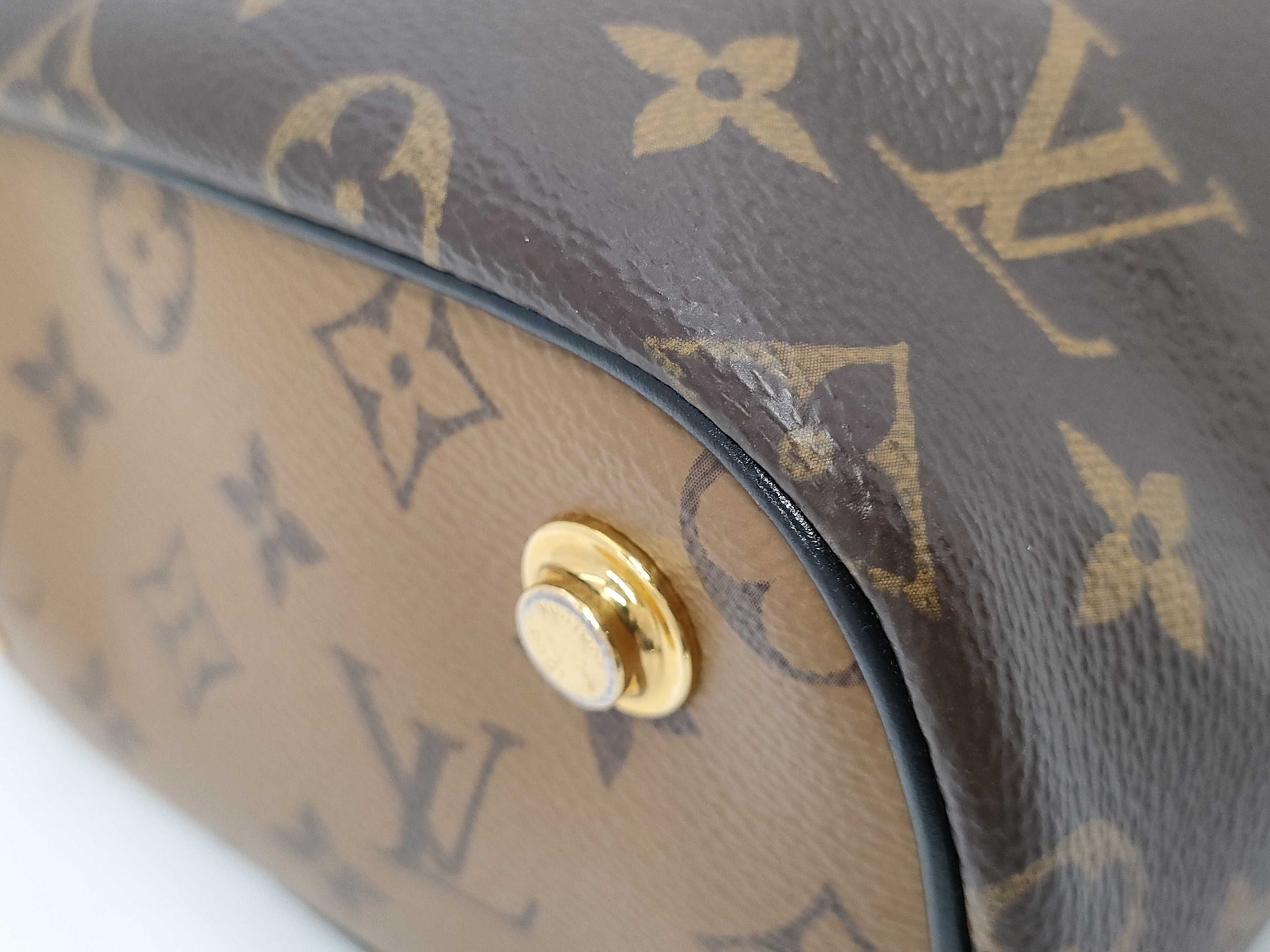 LOUIS VUITTON Monogram Reverse Vanity Bag