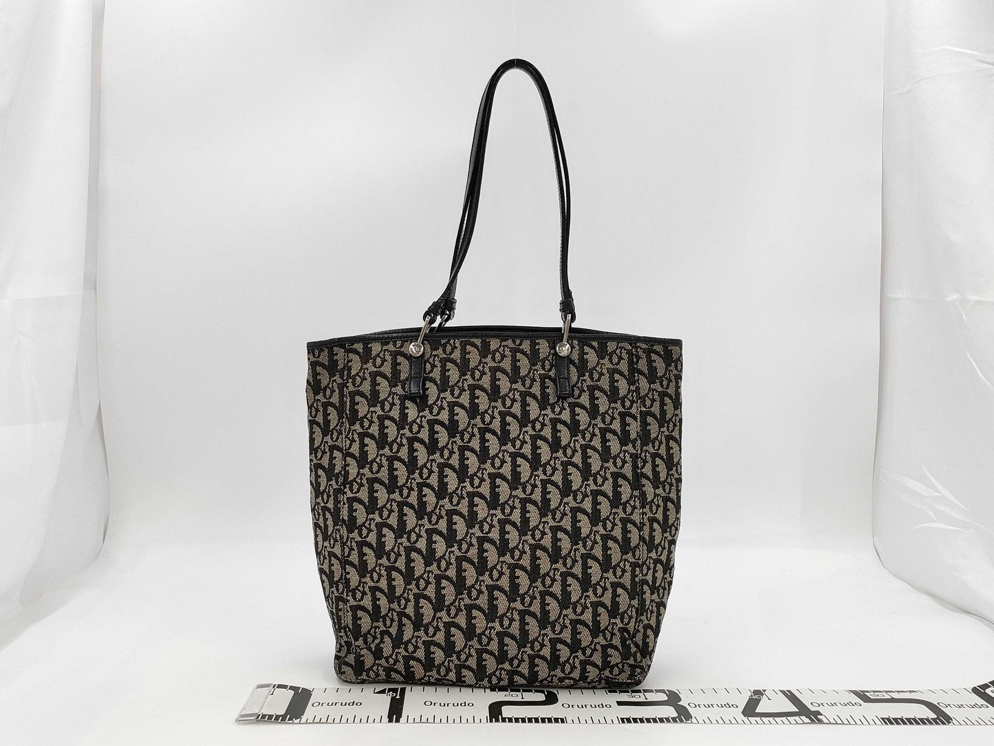 Dior Trotter Tote Bag