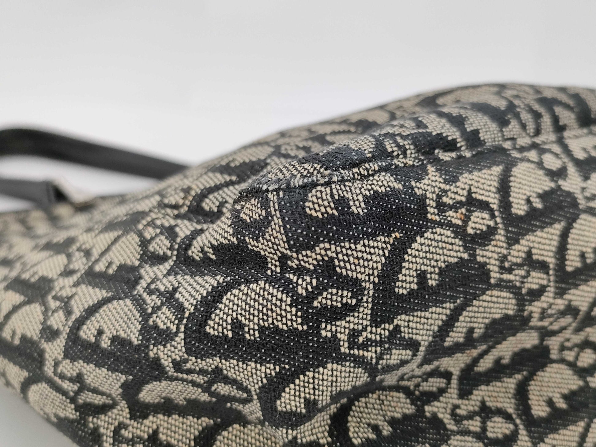 Dior Trotter Tote Bag