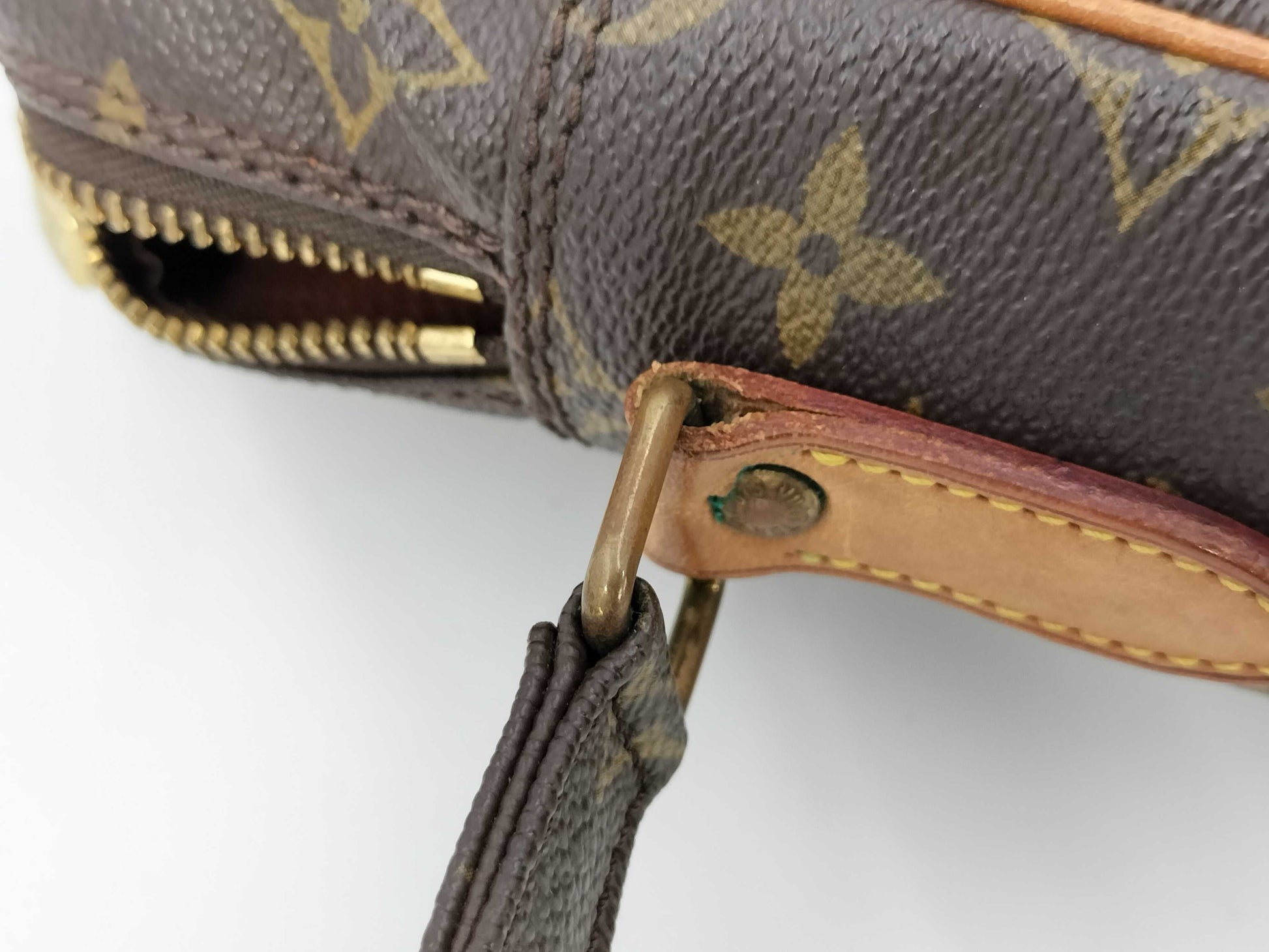 LOUIS VUITTON Monogram Danube MM Shoulder Bag