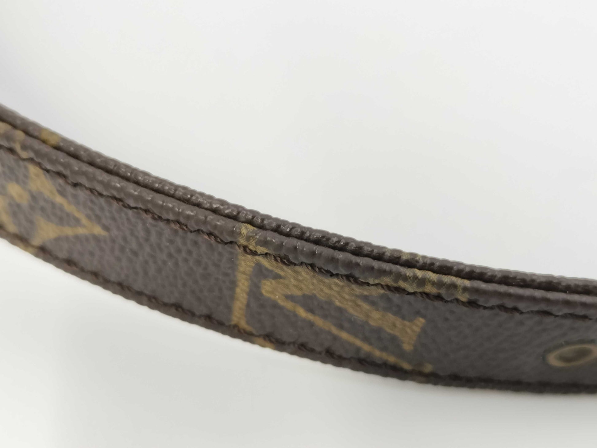 LOUIS VUITTON Monogram Danube MM Shoulder Bag
