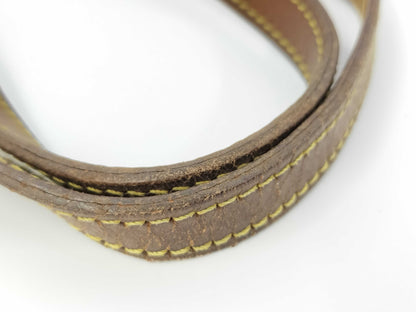 LOUIS VUITTON Monogram Bucket PM Bag