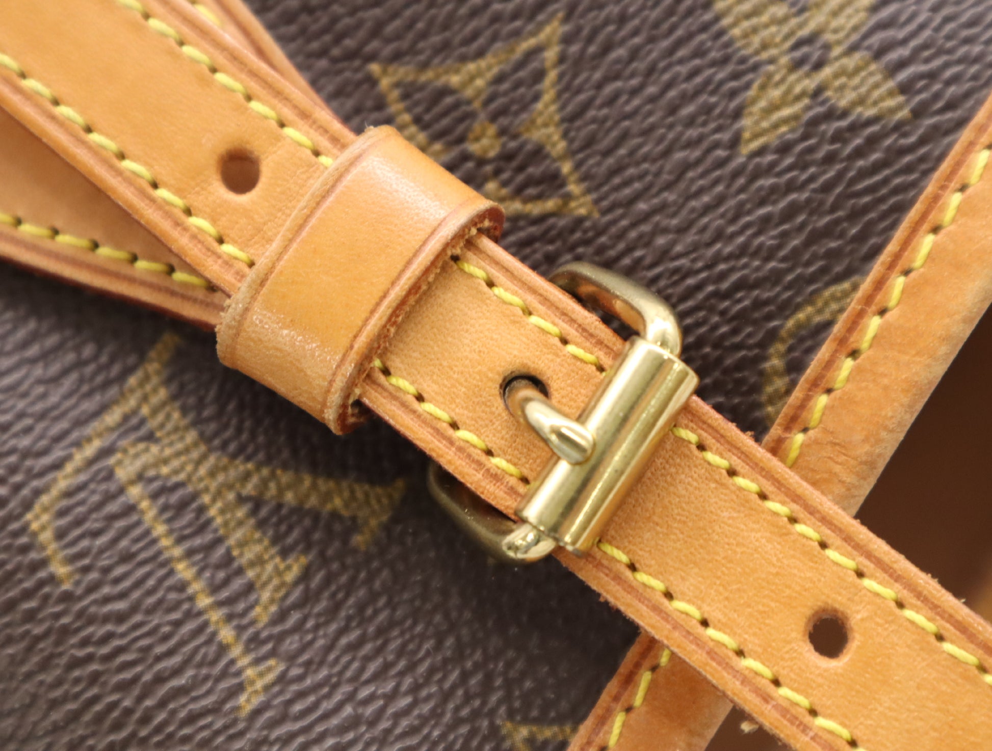 LOUIS VUITTON M42238 Monogram Bucket PM Handbag