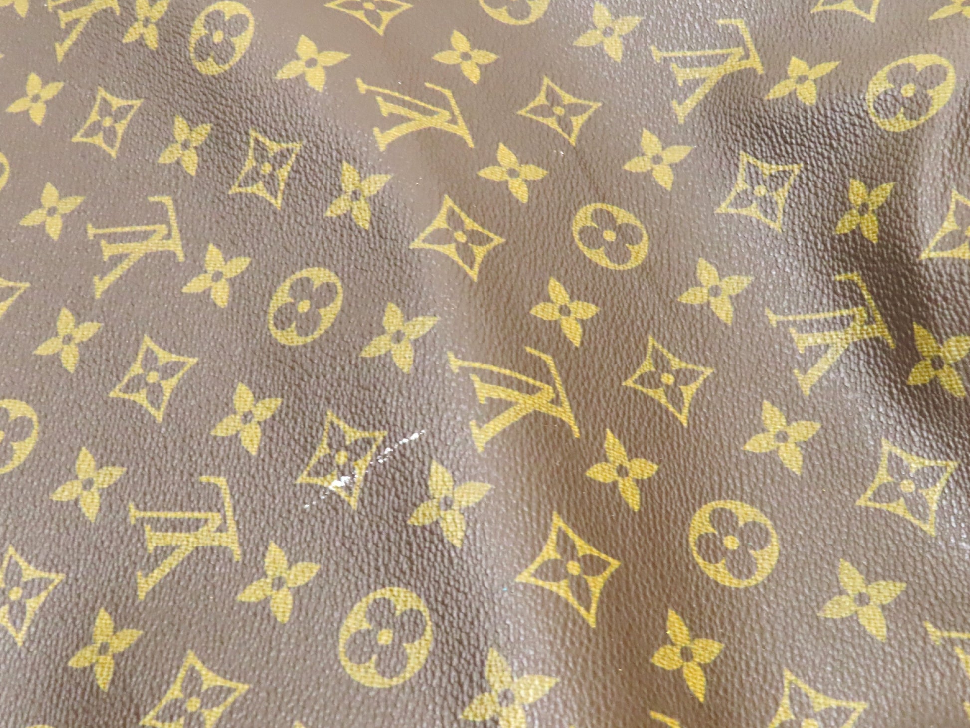 LOUIS VUITTON LV Garment M23434 Bag