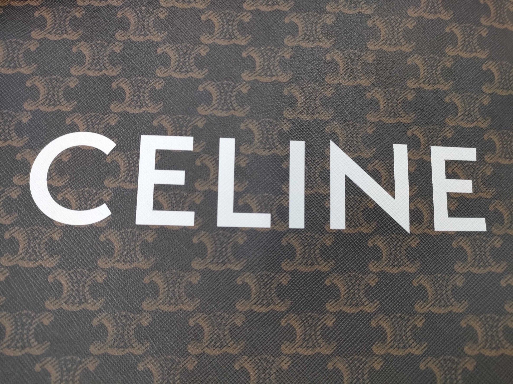 CELINE Small Vertical Cabat Tote in Brown