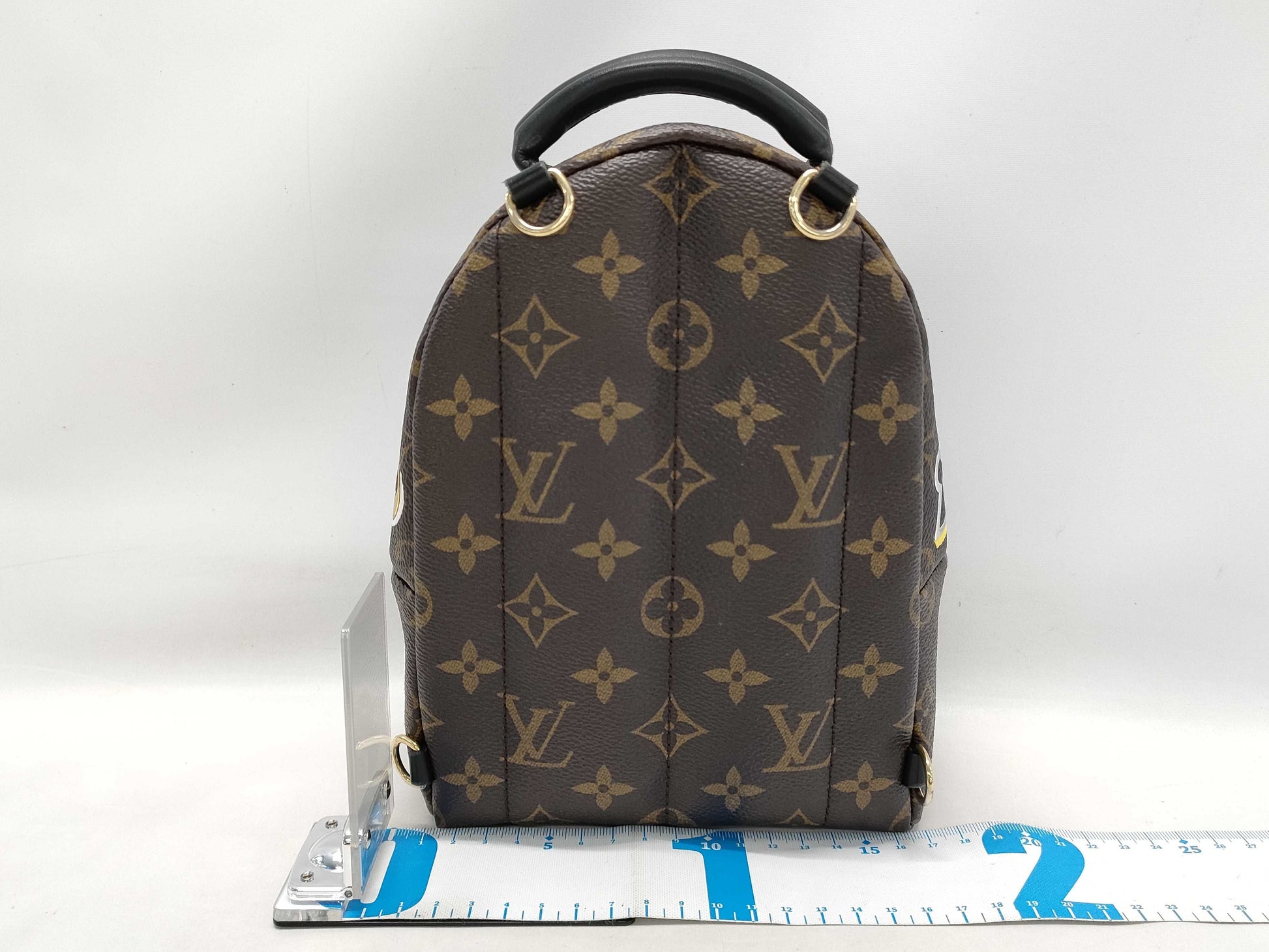 LOUIS VUITTON LV Palm Springs Mini Lovelock Backpack