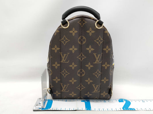 LOUIS VUITTON LV Palm Springs Mini Lovelock Backpack