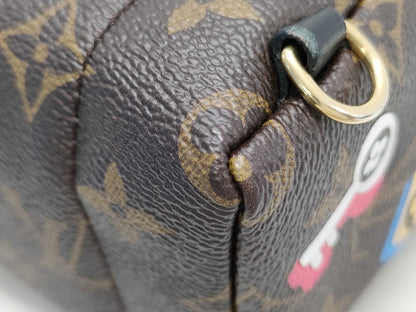 LOUIS VUITTON LV Palm Springs Mini Lovelock Backpack