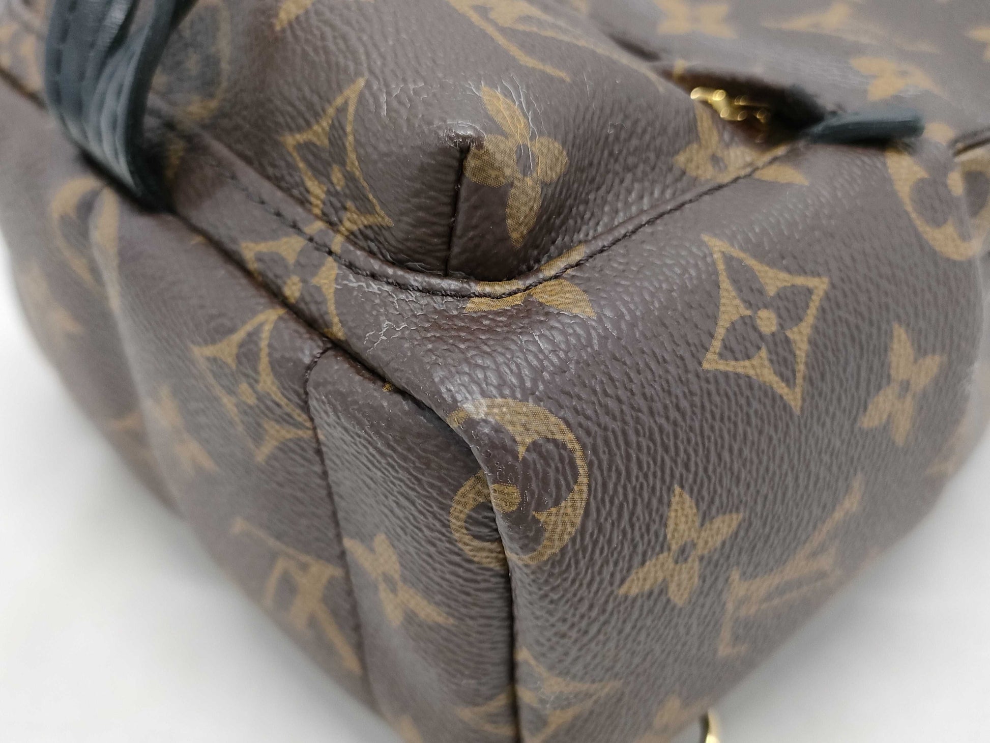 LOUIS VUITTON Monogram LV Palm Springs Mini Monogram Backpack