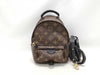 LOUIS VUITTON Monogram LV Palm Springs Mini Monogram Backpack