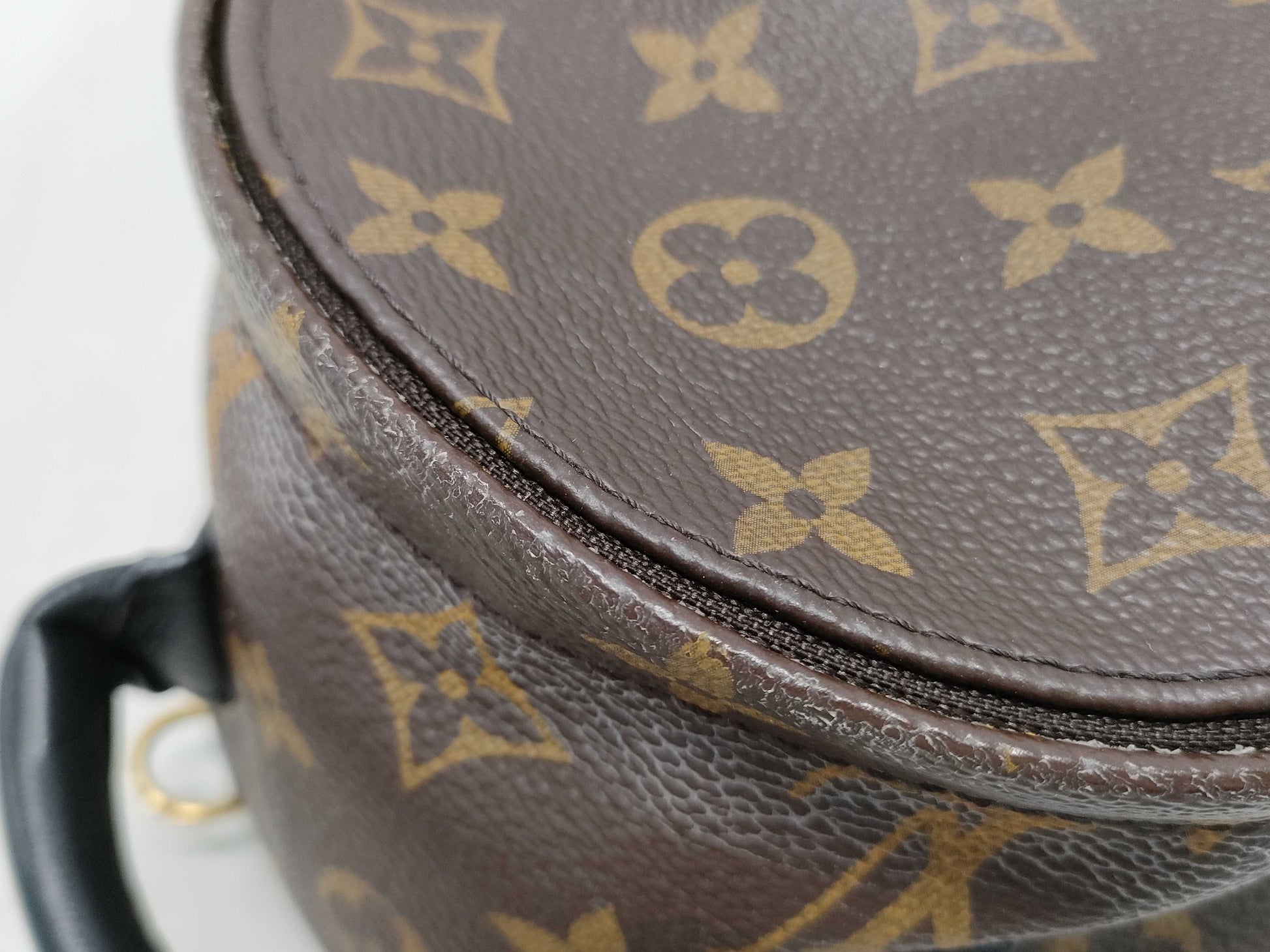 LOUIS VUITTON Monogram LV Palm Springs Mini Monogram Backpack