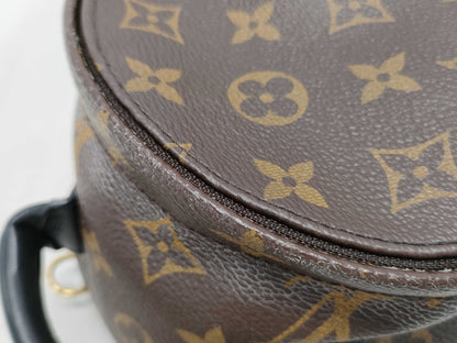 LOUIS VUITTON Monogram LV Palm Springs Mini Monogram Backpack