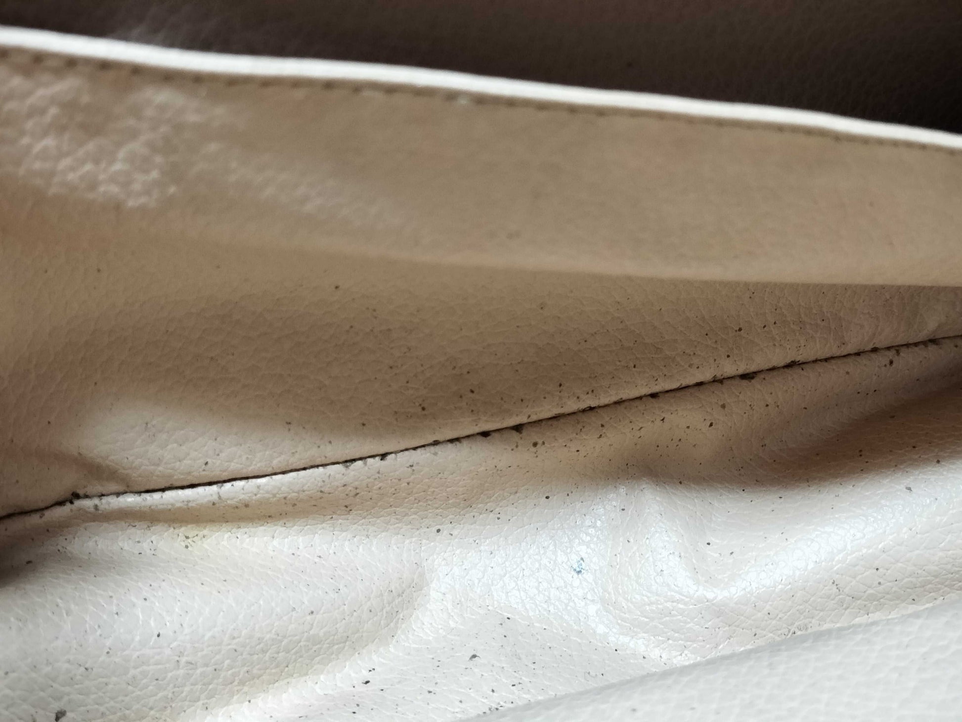 LOUIS VUITTON Monogram True Toilet Second Bag