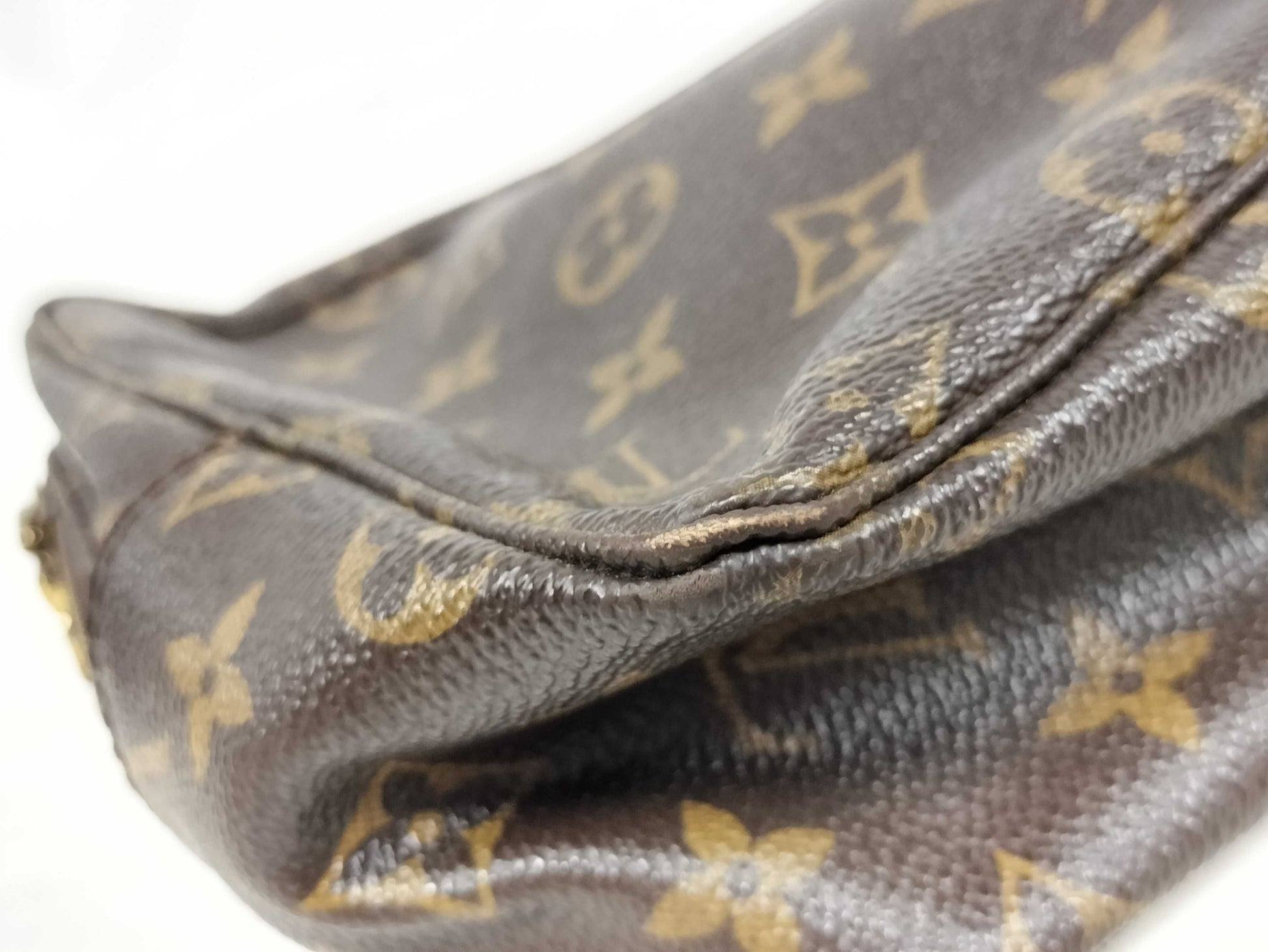 LOUIS VUITTON Monogram True Toilet Second Bag