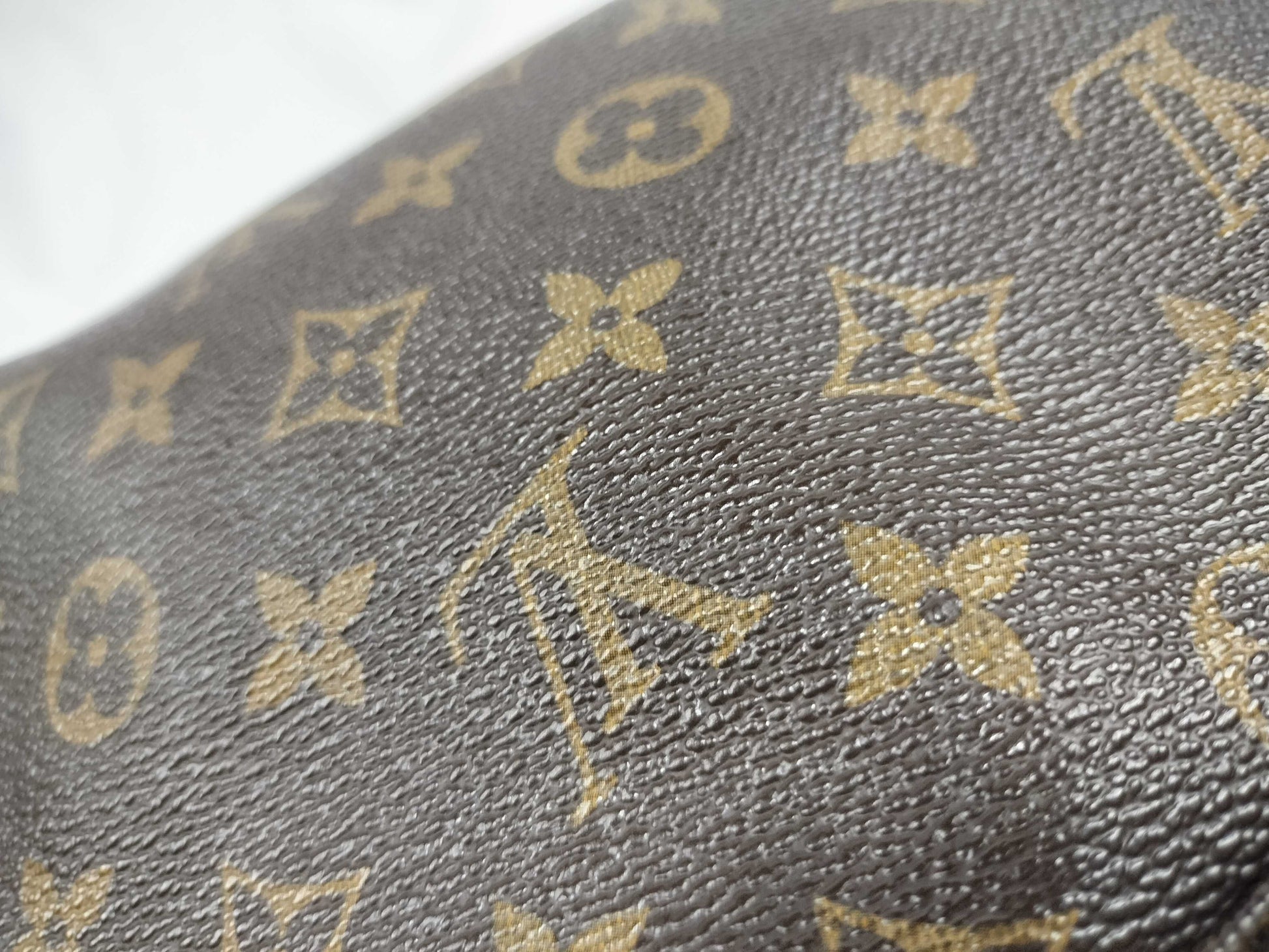 LOUIS VUITTON Monogram True Toilet Second Bag