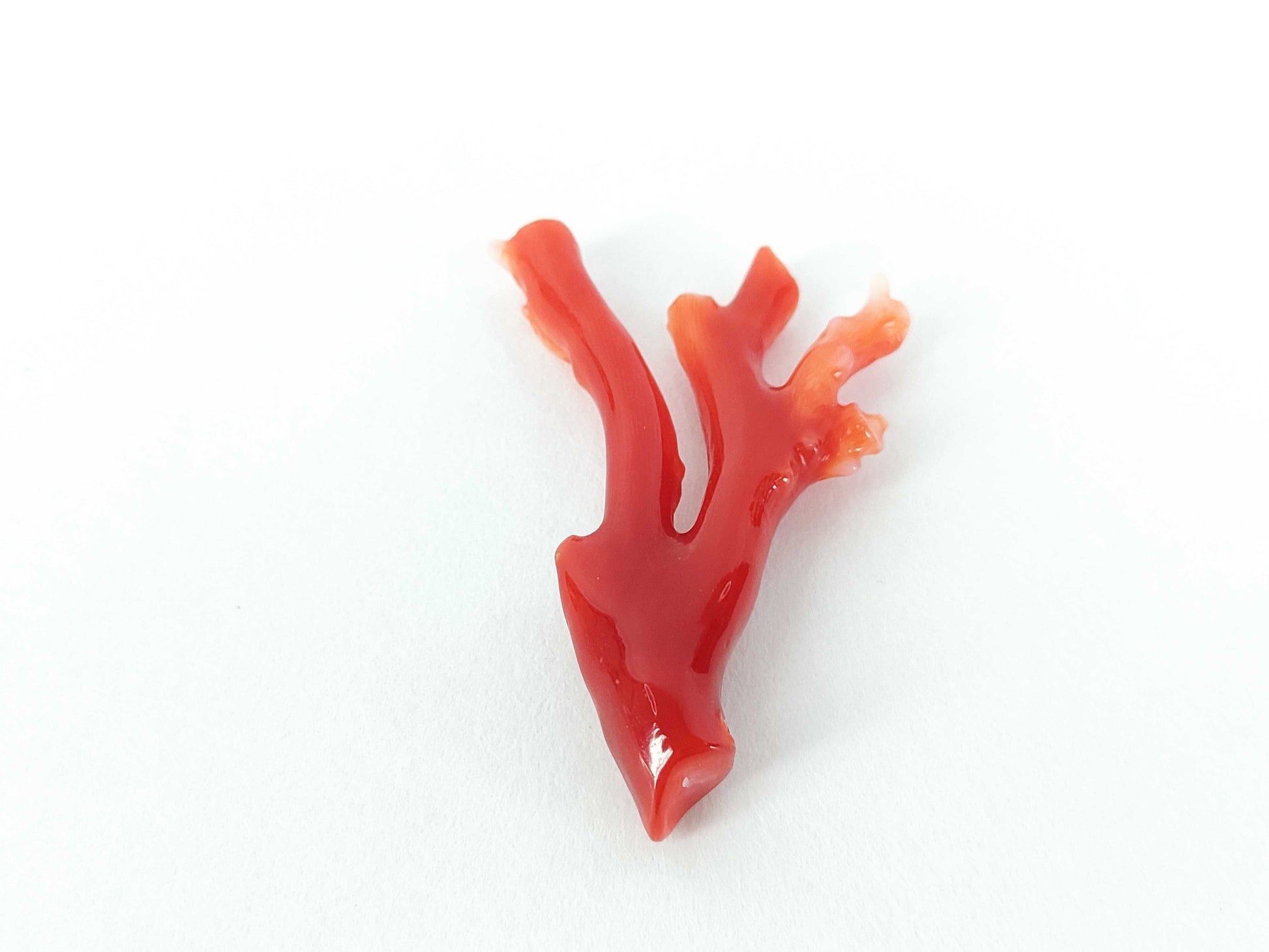Coral and other accessories