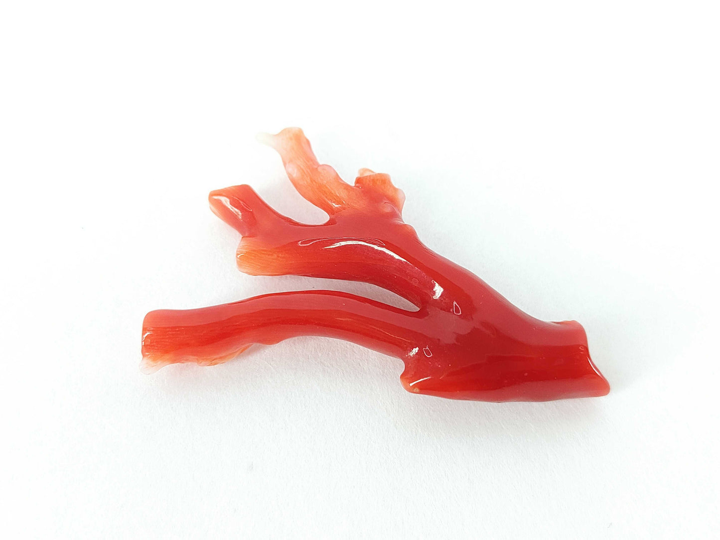 Coral and other accessories