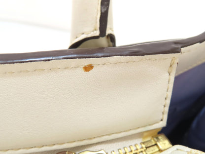 COACH Tote Handbag