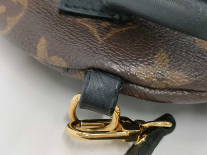 LOUIS VUITTON Louis Vuitton Backpack Rucksack