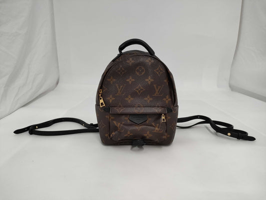 LOUIS VUITTON Louis Vuitton Backpack Rucksack