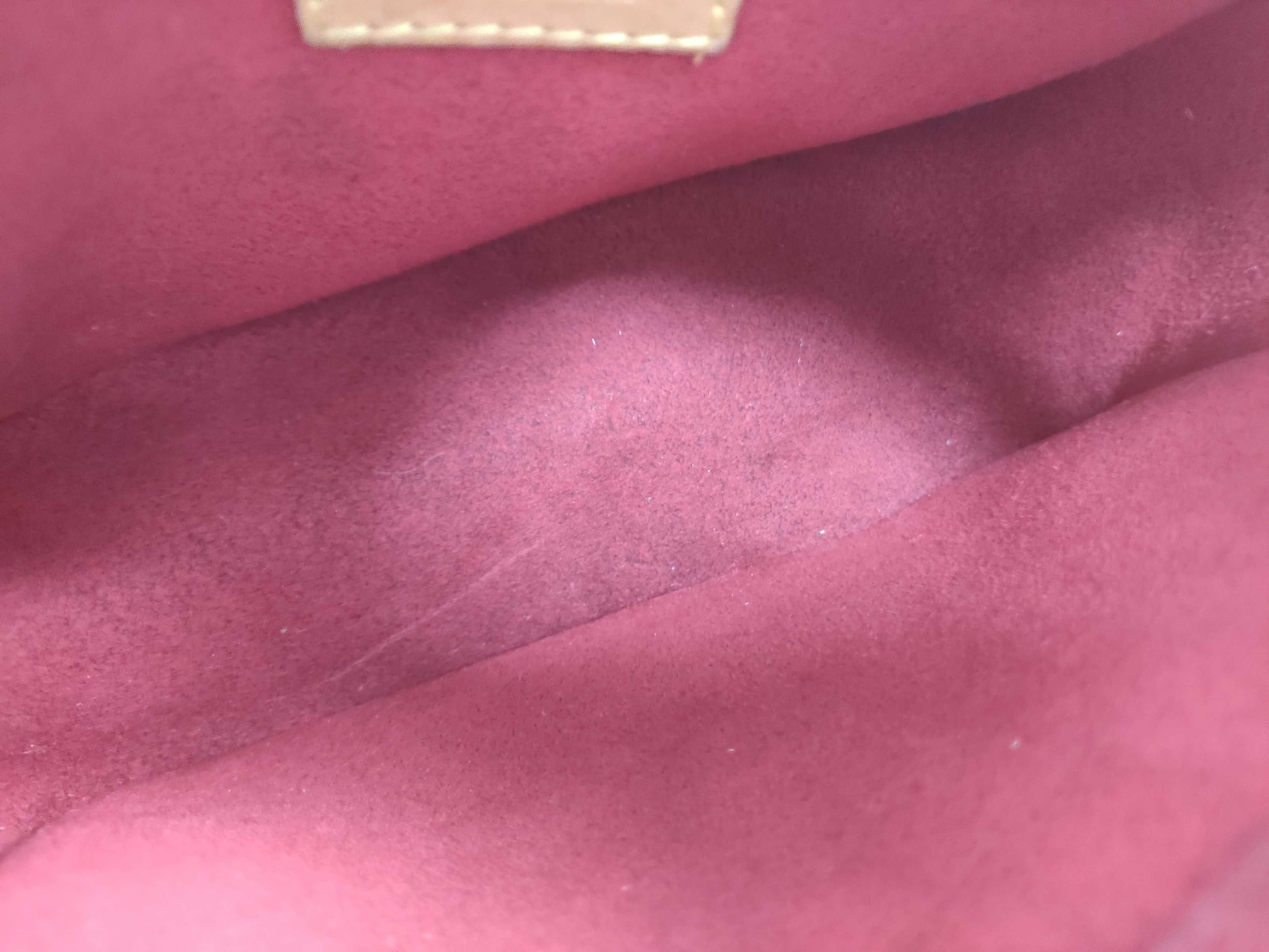LOUIS VUITTON Monogram Louis Vuitton Monogram Viva Cite PM Shoulder Bag