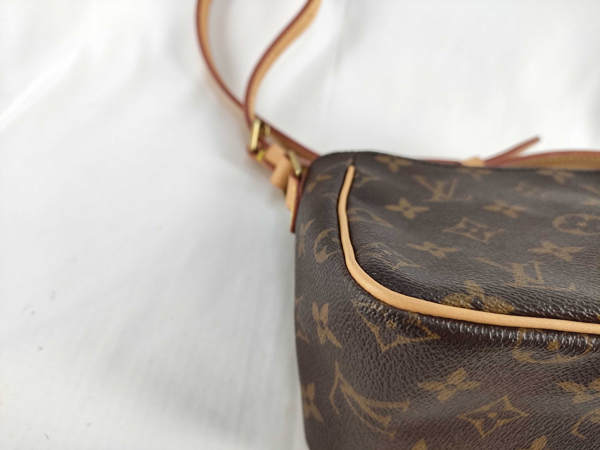 LOUIS VUITTON Monogram Louis Vuitton Monogram Viva Cite PM Shoulder Bag