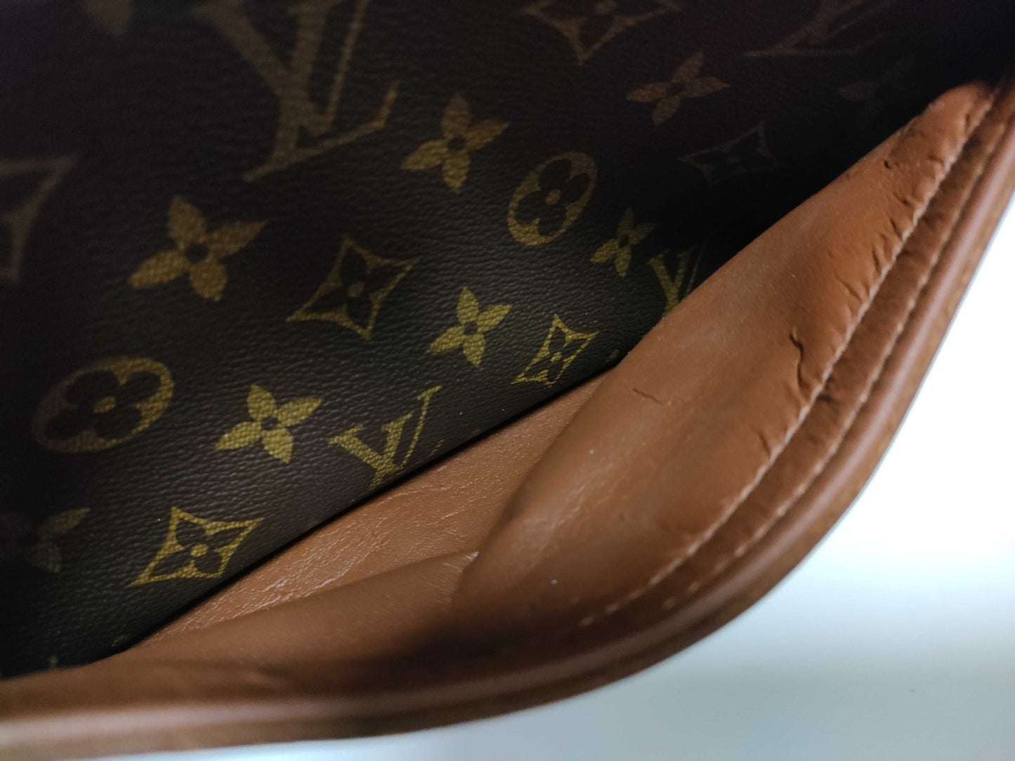 LOUIS VUITTON Monogram LV Blois N00061 Shoulder Bag
