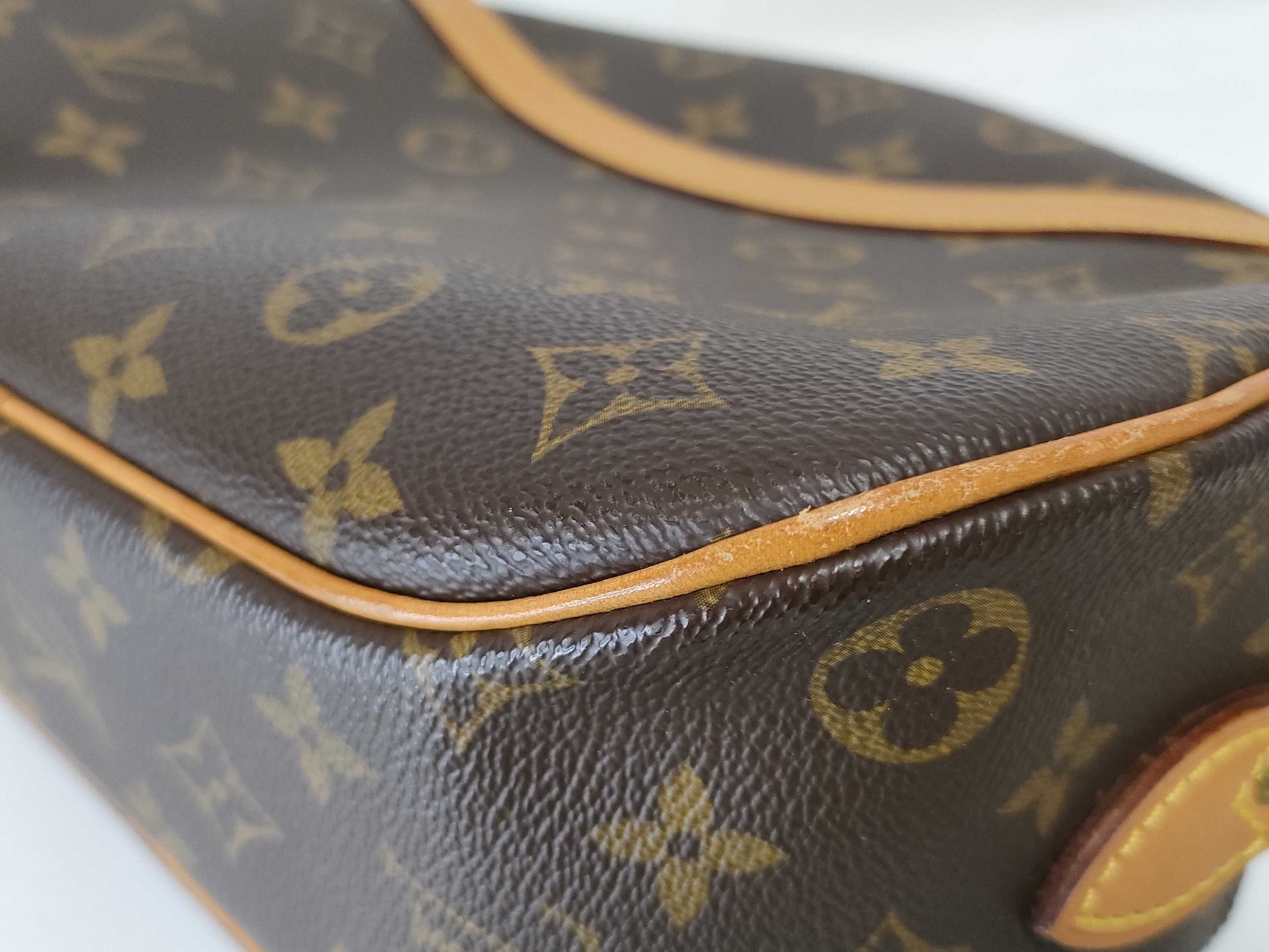 LOUIS VUITTON Monogram LV Blois N00061 Shoulder Bag