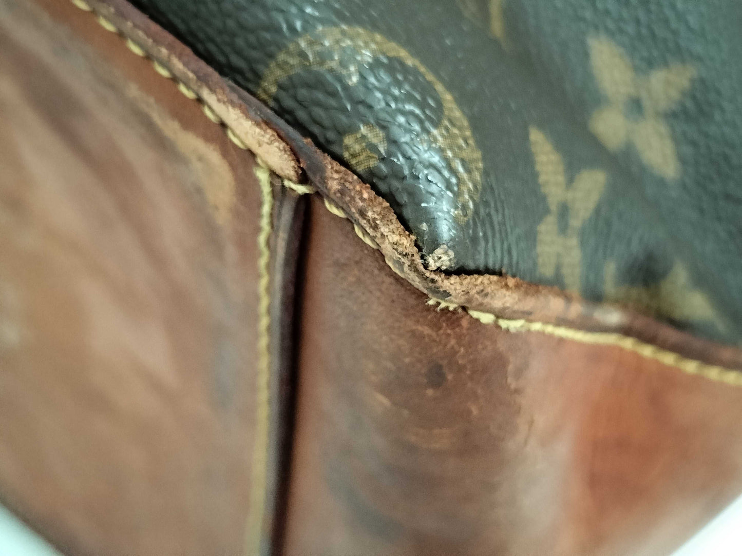 LOUIS VUITTON M51151 Monogram Cabas Maison M51151 Monogram Tote Bag