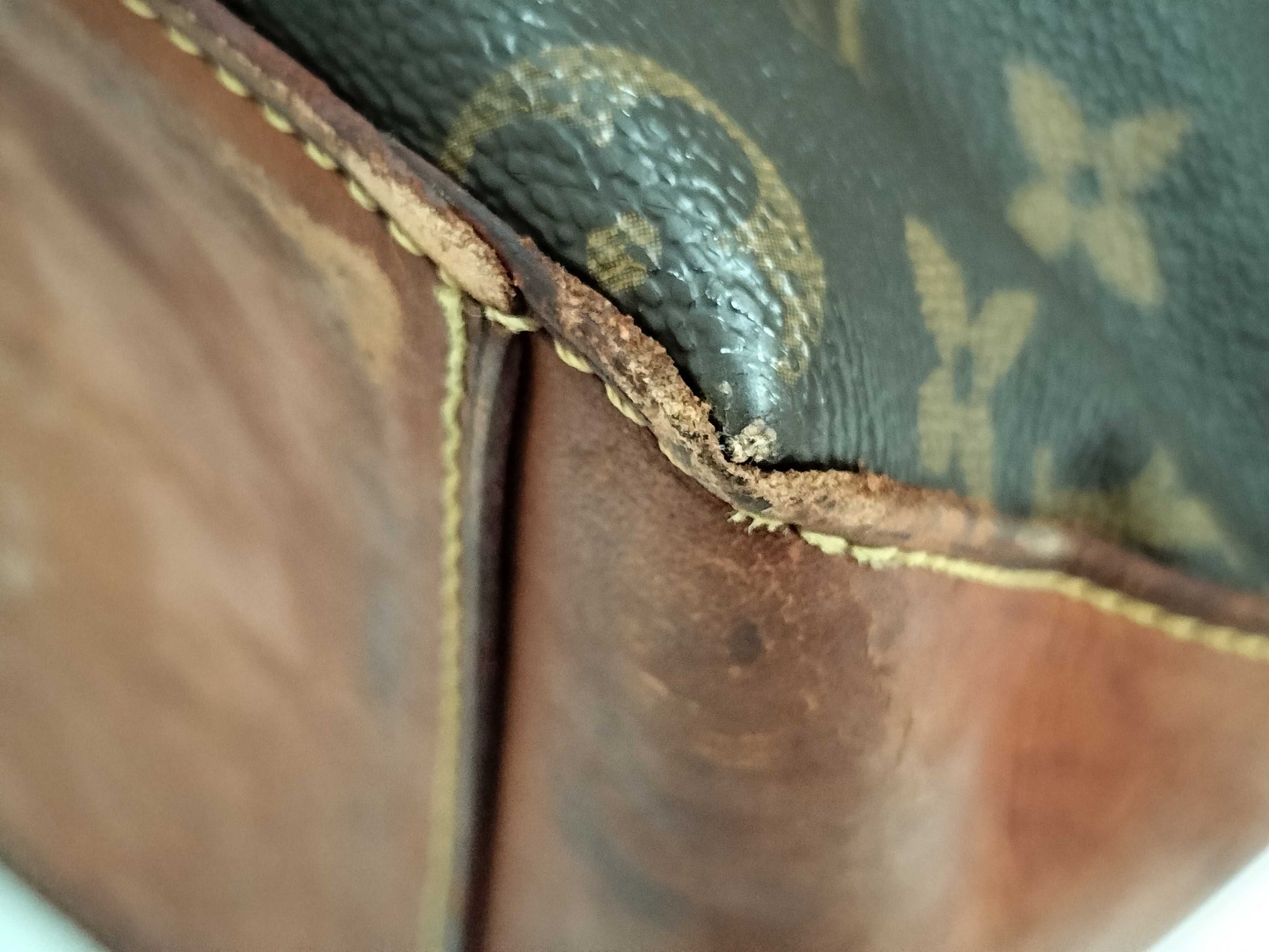 LOUIS VUITTON M51151 Monogram Cabas Maison M51151 Monogram Tote Bag