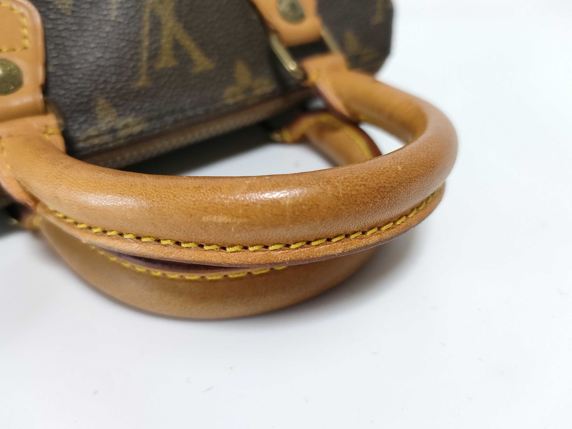 LOUIS VUITTON Monogram Mini Speedy Pouch