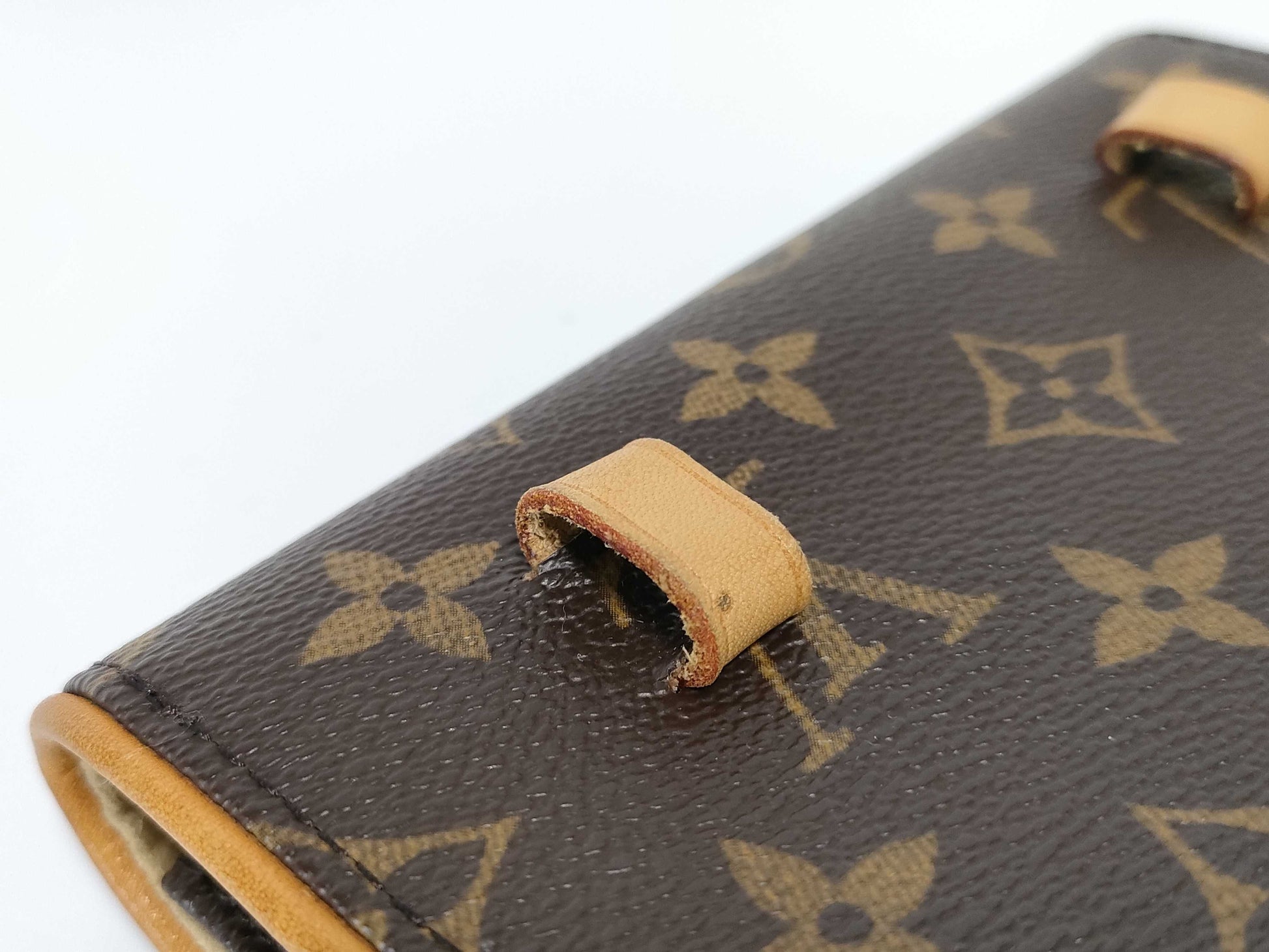 LOUIS VUITTON Monogram Florentine Waist Bag